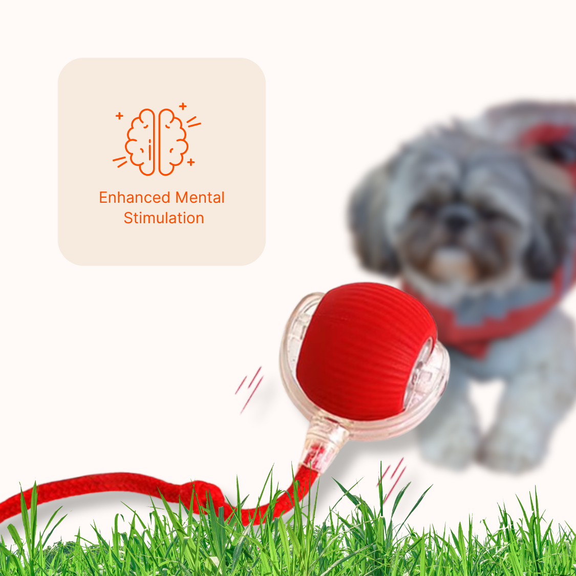 Happy Ball Advanced