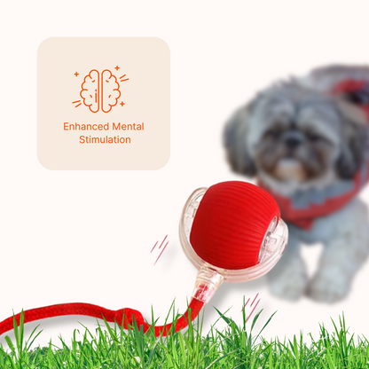 Happy Ball Advanced