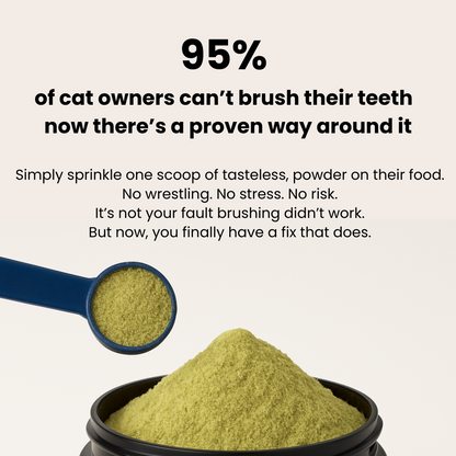 Petroc Feline Smile Advanced